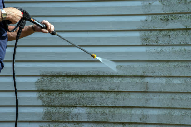 Best Gutter Cleaning  in Silsbee, TX